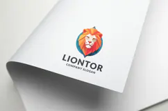 15 Unique Vector Lion Head Product Image 4
