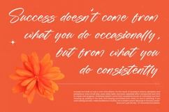 Fullgate Displant - Bold Brush Font Product Image 9