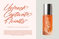 Fullgate Displant - Bold Brush Font Product Image 16