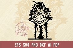 Peeking Ostrich SVG | Comic Animal SVG | Funny Animals SVG Product Image 1