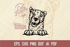 Peeking Cheetah SVG | Comic Animal SVG | Funny Animals SVG Product Image 1