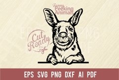 Peeking Kangaroo SVG | Comic Animal SVG | Funny Animals SVG Product Image 1