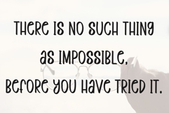 Funky Holiday Product Image 5