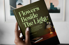 Funky Nights Vintage - Modern Alternate Serif Product Image 13