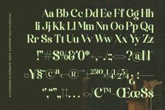 Funky Nights Vintage - Modern Alternate Serif Product Image 14