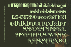 Funky Nights Vintage - Modern Alternate Serif Product Image 15