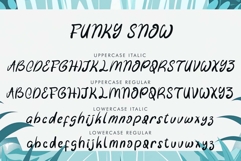 Funky Snow Product Image 5