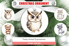 Ornament Funny Animal Faces Product Image 1
