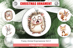 Ornament Funny Animal Faces Product Image 1