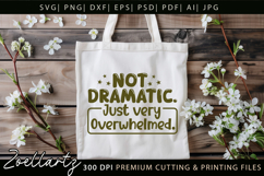Sarcastic Mental Health SVG Funny Anxiety T-shirt Mug Design Product Image 4