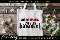 Funny Mental Health SVG Sarcastic Anxiety T-shirt Mug Design Product Image 4