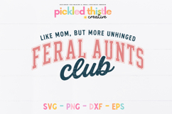 Retro style text design reading “Feral Aunts Club” with curved lettering and the phrase “Like mom but more unhinged” above, in pink and teal tones on a white background.