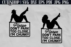 Don't Park Too Close - Funny Car Decal SVG | Bumper Sticker Product Image 2