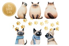 Siamese Cats Clipart Set - 25 .PNG Files Product Image 3