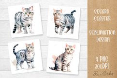 Funny Cat Coaster Sublimation| Cat Lover Coasters Product Image 1