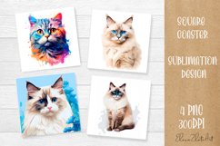 Funny Cat Coaster Sublimation| Persian cats Coasters Product Image 1