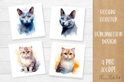Funny Cat Coaster Sublimation| cats Coasters Product Image 1