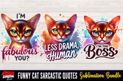 Funny Cat Sarcastic Quotes Sublimation Bundle | 40 Cat png Product Image 5