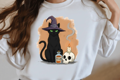 Funny Cat Lover png Product Image 2