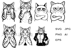 12 Funny cat meme collection Product Image 2