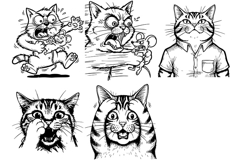 12 Funny cat meme collection Product Image 3