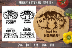 Funny Cat SVG Funny humor design 