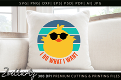 I Do What I Want Funny Chick T-shirt Design Funny Quote SVG Product Image 1