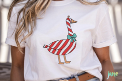 Funny Christmas Silly Goose SVG PNG Product Image 2
