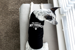 Dog mom humor SVG design with bold typography and a playful tone. Features a curved “NOT FRIENDLY” statement and simple paw print, designed for easy cutting and crafting use.