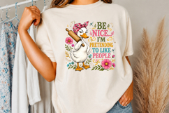 Funny Duck PNG,Farmhouse Sarcastic Quotes Product Image 2
