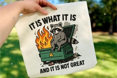Funny Dumpster Racoon PNG, It is not great PNG, Funny Racoon Product Image 3