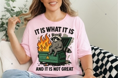Funny Dumpster Racoon PNG, It is not great PNG, Funny Racoon Product Image 4