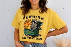 Funny Dumpster Racoon PNG, It is not great PNG, Funny Racoon Product Image 5