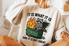 Funny Dumpster Racoon PNG, It is not great PNG, Funny Racoon Product Image 7