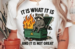 Funny Dumpster Racoon PNG, It is not great PNG, Funny Racoon Product Image 2