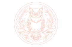 Funny Owl Laser Cut Design SVG Product Image 2