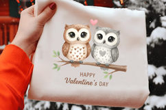 Funny Owl Valentines Day Clipart PNG Product Image 2