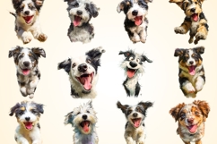 Funny Puppy Dogs Clipart Bundle 40 PNG 4K Transparent BG Product Image 3