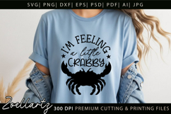 Funny Quote Don't Be Crabby SVG Funny Sarcastic SVG Cut File Product Image 5
