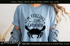 Funny Quote Don't Be Crabby SVG Funny Sarcastic SVG Cut File Product Image 5