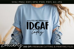 Funny Quote SVG PNG DXF EPS Funny Sarcastic SVG for Cricut Product Image 2
