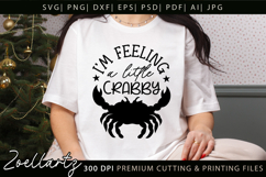 Funny Quote Don't Be Crabby SVG Funny Sarcastic SVG Cut File Product Image 1