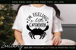 Funny Quote Don't Be Crabby SVG Funny Sarcastic SVG Cut File Product Image 1