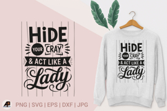 Funny Sarcastic Quotes SVG PNG Bundle Product Image 8