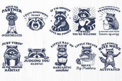 Funny Raccoon SVG PNG Bundle Sarcastic Raccoon Quotes Design Product Image 3