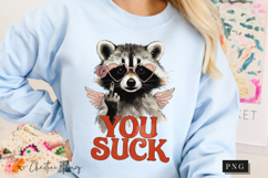 Funny Valentine Raccoon PNG - 4 Designs Product Image 5