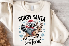 Funny Raccoon with Santa Claus hat Graphic for t-shirts Product Image 5