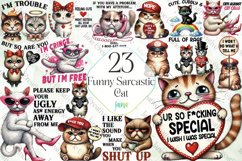 Funny Sarcastic Cat Sublimation Bundle Product Image 1