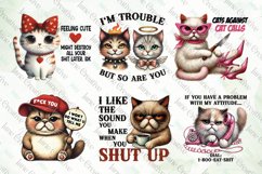 Funny Sarcastic Cat Sublimation Bundle Product Image 2