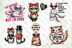 Funny Sarcastic Cat Sublimation Bundle Product Image 3